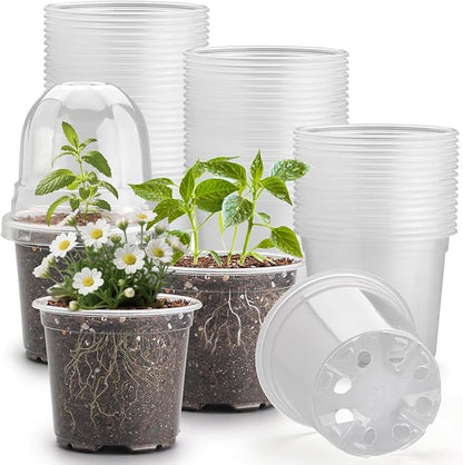 60 Pack Clear Nursery Pots with Humidity Domes, 4 Inch Plastic Plant Pots with Drainage Holes for Seedlings, Transparent Seed Starting Pot for Cuttings Propagation Indoor Gardening
