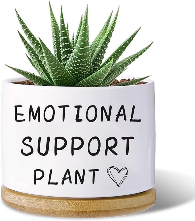 Funny planters for Indoor Plants, for Planter Lover,Indoor Plants Garden Planters Succulent Pots, with Drainage Holes and Saucer(No Plants) (Emotional Support Plant)
