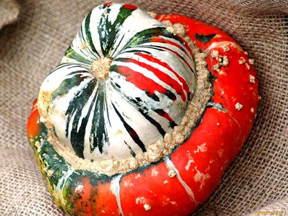 Pumpkin Turk’s Turban 10 Seeds Ornamental Decorative Turban Squash Mushroom Pumpkin Gourd Non-GMO