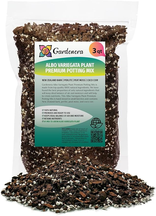 GARDENERA Albo Variegata Soil Blend - Hand-Crafted with The Finest Ingredients for Vibrant Foliage - 3 Quart