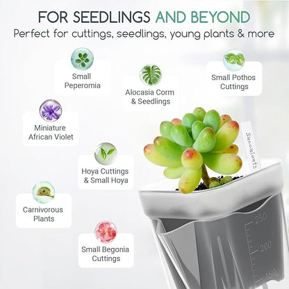 12 Pack 2.5" Small Self-Watering Planter Pots - Mini Clear Seed Starter Pots with Visible Water Level, Plastic Nursery Pots for Succulents, Herbs, and Propagation - Includes 12 Plant Labels