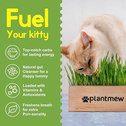 Cat Grass Kit for Indoor Cats - 3 Pack with Cat Grass Seeds, Nutrient Soil & Planter Pots | Complete Growing Set for Fresh Pet Grass (Non-GMO Wheat Grass)
