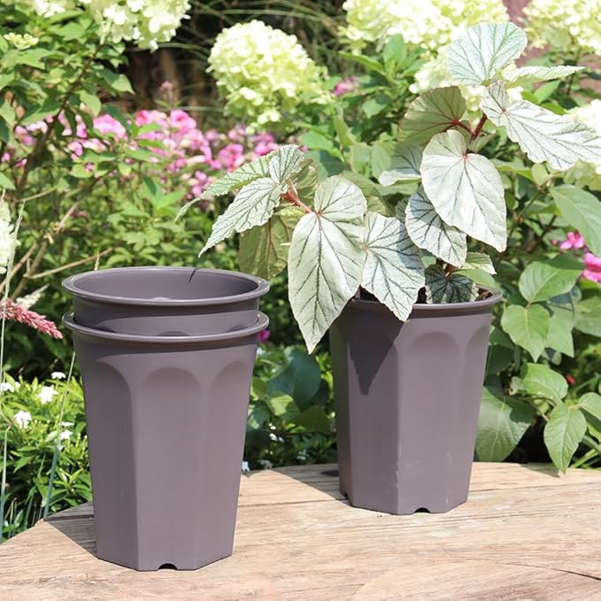BangQiao 8 Pack 6.10 Inch Plastic Deep Nursery and Seedling Pots, Round Transplant Seed Starter Planter, Gray Color
