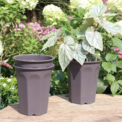 BangQiao 8 Pack 6.10 Inch Plastic Deep Nursery and Seedling Pots, Round Transplant Seed Starter Planter, Gray Color