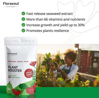 Florasoul® Odorless Organic Seaweed Fertilizer Flakes (2.2 lbs) – Water-Soluble Kelp Extract – Vegan & Plant-Based Nutrient Booster – No Fishy Smell – Makes 250+ Gallons
