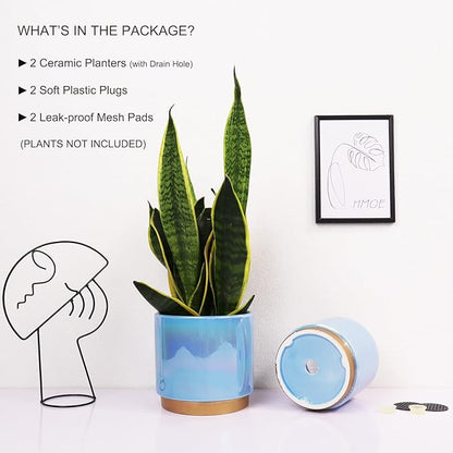 Ceramic Flower Plants Pots Planter with Drainage Hole, 6.0 inch+5.0 Inch. Indoor-Outdoor Large Round Succulent Orchid Pot Set (Blue)