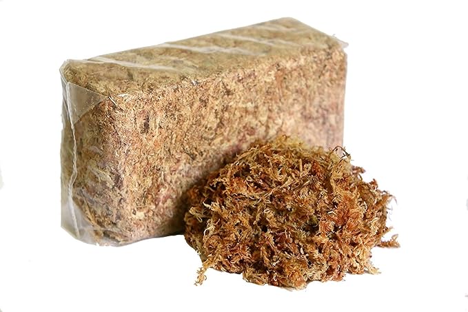 ™Peruvian Sphagnum Moss by Orchid Nerd ® (Peruvian Sphagnum Mos, 150 Grams)