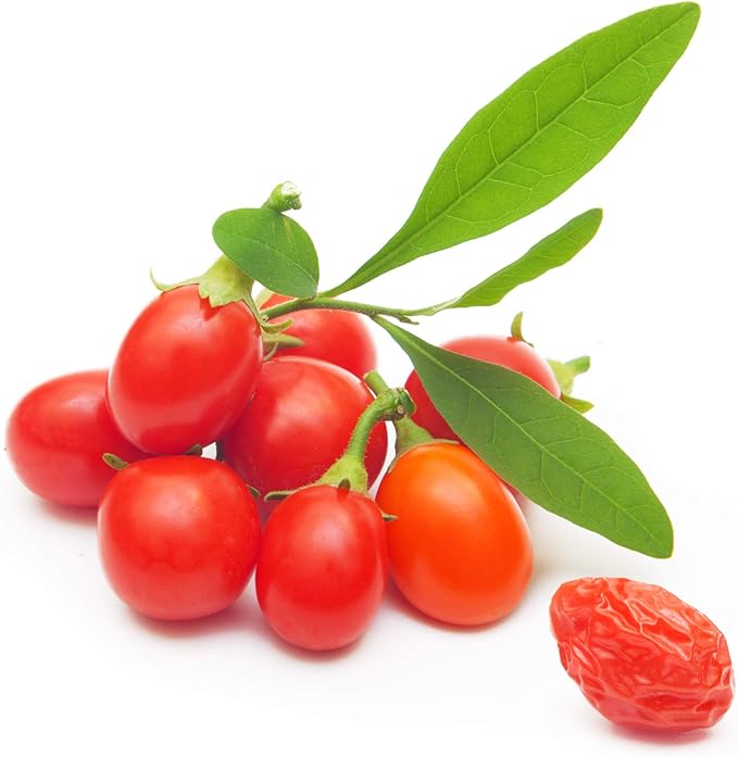 Tibetan Goji Berry 100 Seeds (Lycium chinense) Heirloom - Non GMO - Open Pollinated