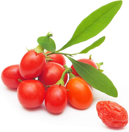 Tibetan Goji Berry 100 Seeds (Lycium chinense) Heirloom - Non GMO - Open Pollinated