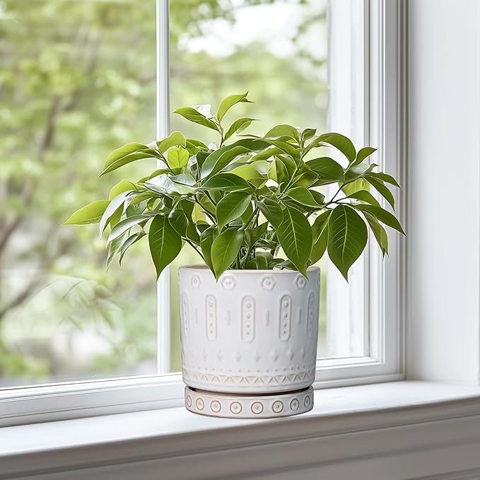Pot for Plants 6 Inch - Ceramic Planter for Indoor Plants Decorative Plant Pot with Drainage Holes and Saucer Outdoor Flower Pot Modern Succulent Pots for Office Desk Decor White
