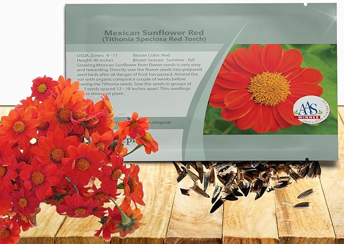 Outsidepride Red Torch Mexican Sunflower Seeds - 2000 Seeds Annual Tithonia, Fast-Growing, Heat & Drought-Tolerant Flower Seeds for Pollinator Gardens, Landscapes, & Flower Arrangements (AAS Winner)