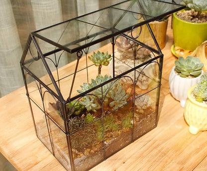ELEGANTLIFE Glass Geometric Plant Terrarium,Succulent & Air Planter for Home Garden Office Decoration (Black House)