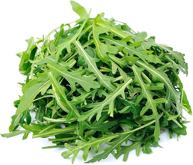 Todd's Seeds Sprouting Arugula Seeds Microgreens for Salads and Sandwiches, One Pound of Seed, Non-GMO, Chemical Free, Grown in The USA, Hand Inspected