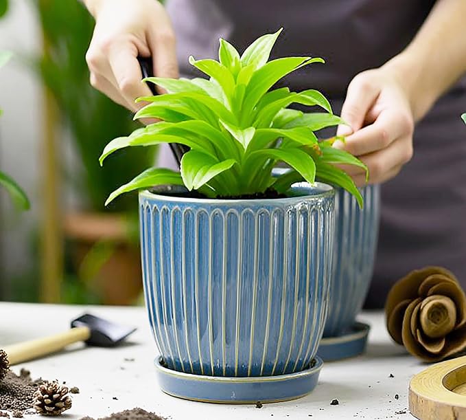 6-Inch Ceramic Plant Pots with Drainage Hole, Flower Pots Planters Pots for Indoor Plants, Flower Pots for Indoor/Outdoor Plants - Succulent, Snake Plant, Money Tree, Basil Planter, Glaze Blue
