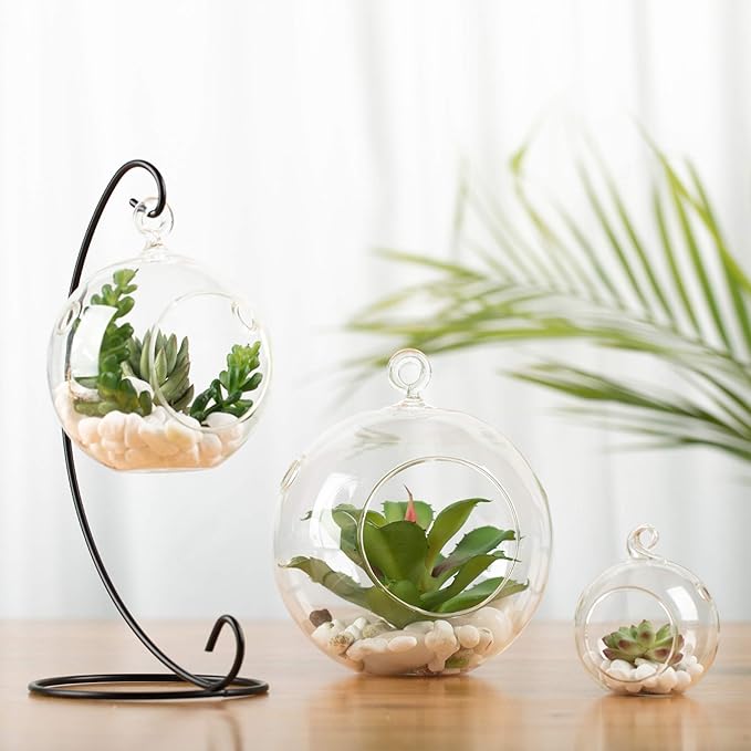 WGV Hanging Terrarium Globe, Width 2.5", Height 3", DIY Air Succulent Planter, Clear Glass Vase Orb with Flat Bottom, Candle Holder for Windowsill Outdoor Garden Decor, 6 Pieces Bulk