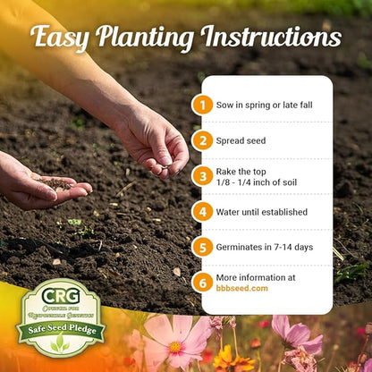 Drought Tolerant Wildflower Seeds - 4oz Packet, Open-Pollinated Bulk Flower Seed Mix for Beautiful Perennial, Annual Garden Flowers - No Fillers - 1/4 Pound