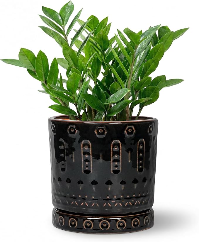 8 Inch Pots for Plants, Ceramic Plant Pot for Indoor Outdoor, Round Planter with Drainage Hole and Tray, Modern Flower Pot, Decorative Plant Pots, Room Decor, House Warming Gifts, Black