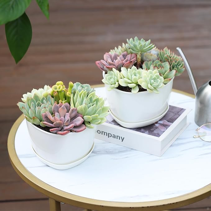Succulent Pots Heart-Shaped Shallow Herb Planters with Drainage Hole - 4 Packs Cactus Planter for Home Office Garden Plants Pot Present - Plants Not Included (Off White)