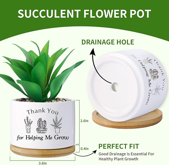 Thank You for Helping me Grow Gifts,Funny planters for Indoor Plants, for Planter Lover,Garden Planters Succulent Pots, with Drainage Holes and Saucer(No Plants) (Helping Me Grow)