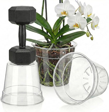 8/10 Inch Large Clear Nursery Pots with Drainage, 6 Pack Acrylic Plant Pots, 90% Light Transparency, Reusable for Flowers and Orchids, Indoor Outdoor Use, A Must-Have for Plant Lovers
