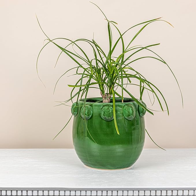 Creative Co-Op Round Terra-Cotta Planter with Raised Dots Design, Green