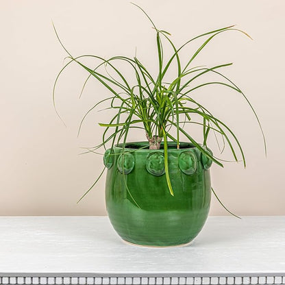 Creative Co-Op Round Terra-Cotta Planter with Raised Dots Design, Green
