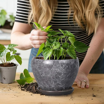 Ceramic Planter - 6 Inch Plant Pot with Drainage Hole and Saucer, Succulent Pot Glaze Round Flower Pot for Indoor Outdoor Plants, Gray