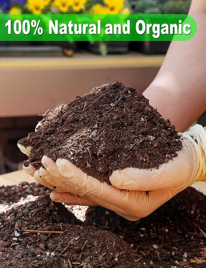 TOYPOPOR Succulent Soil, Cactus Potting Mix 3.75 Pounds/3QTS, High Drainage, Pre-Mixed Ready to Use for All Succulent Varieties, Indoor Plants, Bonsai, Terrarium, Houseplant, 30% Particles 70% Soil