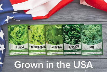 Gardeners Basics Lettuce and Greens Heirloom Vegetable Seed Non-GMO Seeds for Planting Indoors and Outdoor - Lettuce Buttercrunch, Romaine, Arugula, Kale and Spinach, Pack of 5