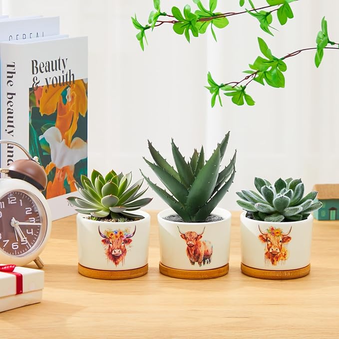 3 Pcs Decor Gift for Women Planter Ceramic Gift Animal Plant Pot with Bamboo Tray for Office Home Farm House Bathroom Kitchen Christmas Decorations (No Plants Included) (Highland Cow)