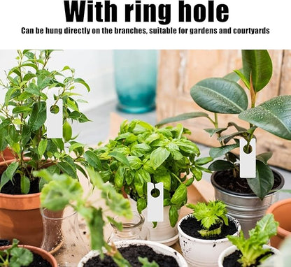 600pcs Plant Labels PVC Plant Tags with to Hung It On The Branches for Distinguishing and Identify Flowers Or Plants