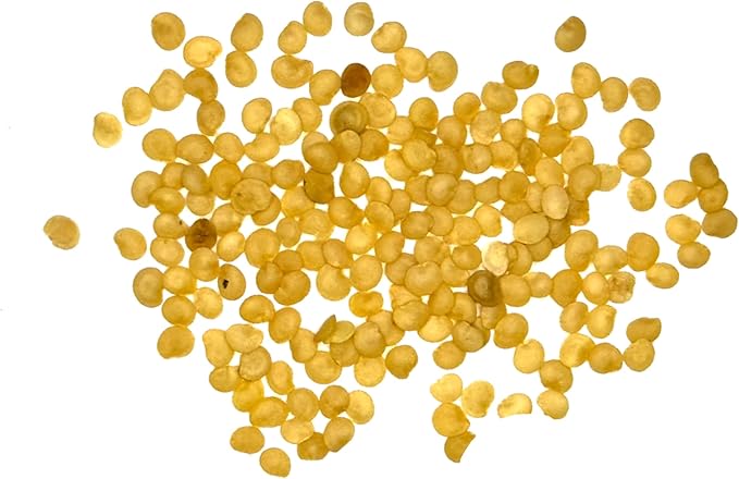 Seed Needs Tomatillo Seeds for Planting Grande Rio Verde Tomatillos - Non-GMO Heirloom & Untreated - Grow a Home Grown Outdoor Vegetable Garden - Great for Salsa & Mexican Cuisine (5 Packs)