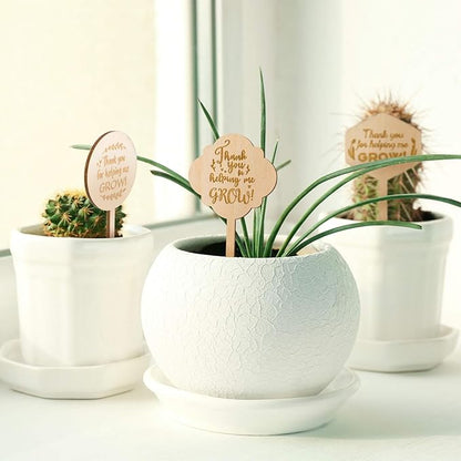 36 Pieces Thank You for Helping Me Grow Plant Markers Wooden Plants Labels Succulent Labels Wooden Plant Markers for Vegetable Flowers Garden Potted Plants