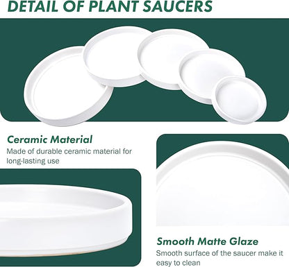 D'vine Dev Modern Round 10.4 Inch Ceramic Plant Pot Saucer, Planter Pot Drainage Tray for Indoor Plants, Matte White, 97-T-A-5