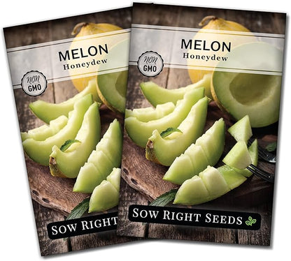Sow Right Seeds - Green Honeydew Melon Seeds for Planting - Non-GMO Heirloom Packet with Instructions to Plant a Home Vegetable Garden - Super Sweet and Crisp Green Honey Dew Cantaloupe (2)