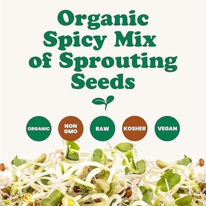 Food to Live Organic Spicy Mix of Sprouting Seeds, 5 Pounds — Non-GMO Broccoli, Radish, Alfalfa, Raw, Rich Germination Rate, Non-Irradiated, Pure, Kosher, Vegan Superfood, Bulk, Rich in Sulforaphane