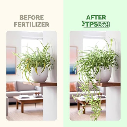 Spider Plant Fertilizer for Spider Plants, Great for Curly, Striped, and Solid Green Varieties, Liquid Fertilizer by TPS Plant Foods, 32oz (1 Quart)