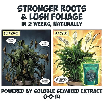 Kelp it Real Organic Seaweed Fertilizer for Plants - Makes 200 gallons - OMRI Listed - Vegan Certified - for Indoor Gardeners, Houseplants, Fruits, Vegetables, Hydroponics - (8oz)