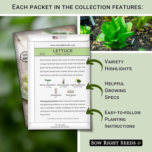 Sow Right Seeds - Large Lettuce Seed Collection for Planting - Buttercrunch, Jericho, Iceberg, Salad Bowl, Little Gem, Black-Seeded Simpson, Lolla Rosa - Non-GMO Heirloom - Outdoors or Hydroponics