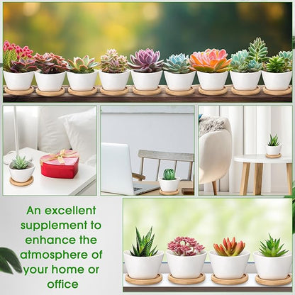 Domensi 12 Pack Succulent Planter Pots 3 Inch Small Plant Pots Mini Ceramic Succulent Planter Holder with Drainage Holes and Bamboo Saucers (White)