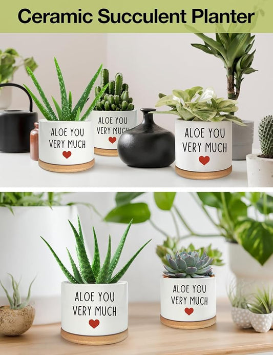 You Very Much- White Ceramic Engraved Mini Succulent Aloe Cactus Planter Pot, Funny Plant Pots Indoor Flower Plant Pots for Home Office Windowsill Levitating Plant Pot Gifts, 3.8 inch