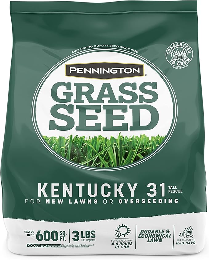 Pennington Kentucky 31 Tall Fescue Penkoted Grass Seed 3 lb,(Pack of 8)