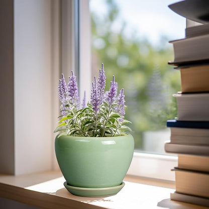 6 Inch Plant Pot - Ceramic Planter for Indoor Plants Round Planter Outdoor Plant Pot with Drainage Hole and Saucer Modern Flower Pot for Succulent Garden Green