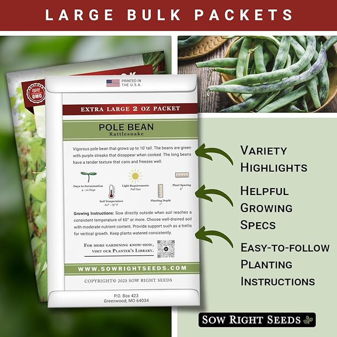 Sow Right Seeds - Bulk Rattlesnake Pole Bean Seeds for Planting - 2 Ounce, 170 Seeds - Non-GMO Heirloom Jumbo Pack with Instructions to Plant an Outdoor Home Vegetable Garden - Purple Streaked Beans