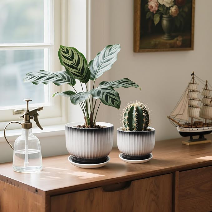 6.7 + 5.5 Inch Ceramic Plant Pots,Set of 2,Planters with Drainage and Saucer,Indoor Pots for Plants,Modern Flower Pots for Home and Office（Black + White）