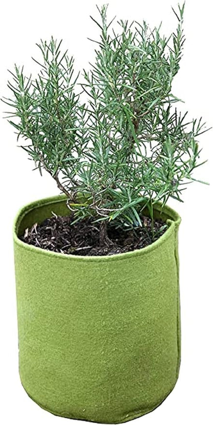 Tierra Garden 50-VIG08 Haxnicks 1.3 Gallon Vigoroot Pots, 3-Pack