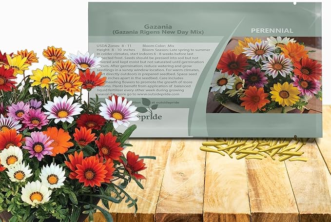 Outsidepride New Day Mixed Gazania Seeds for Planting – 25 Pcs Perennial, Low-Maintenance, Drought-Tolerant Ground Cover Seeds for Vibrant Summer & Fall Flowers, Great for Outdoor Gardens