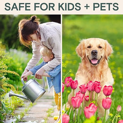 Arber Bio Protectant | Organic Outdoor Plant Fungicide and Root Stimulate Liquid Concentrate | Natural Bloom Boosting Growth Gardening Solution | Control Mildew, Mold, Spots | Make Over 16 Gallons