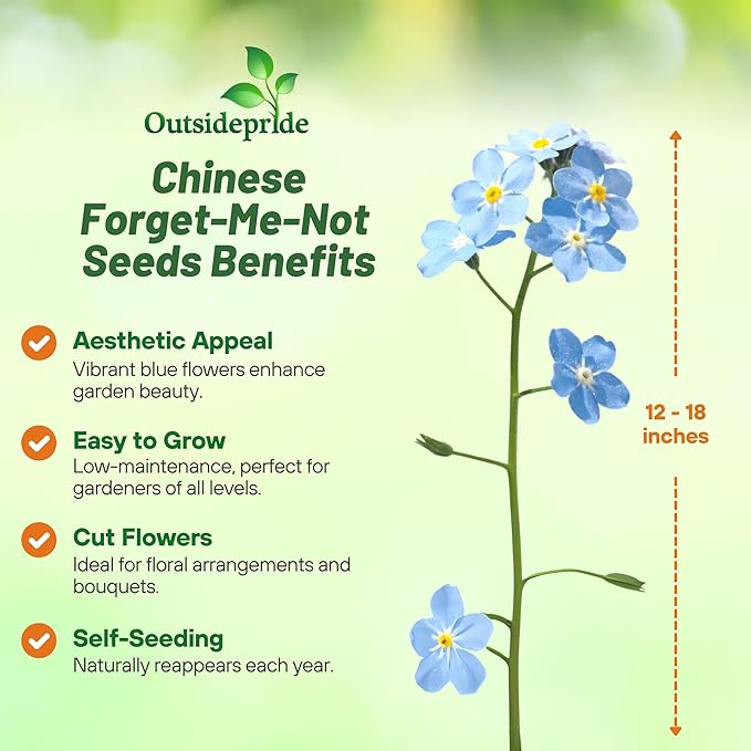 Outsidepride Cynoglossum Blue Chinese Forget Me Not Seeds - 5 Lbs. Self-Sowing Annual Flower Seeds for Planting Dense Blue Blooms & Upright Growth Habit for Borders, Pollinator & Cottage Gardens