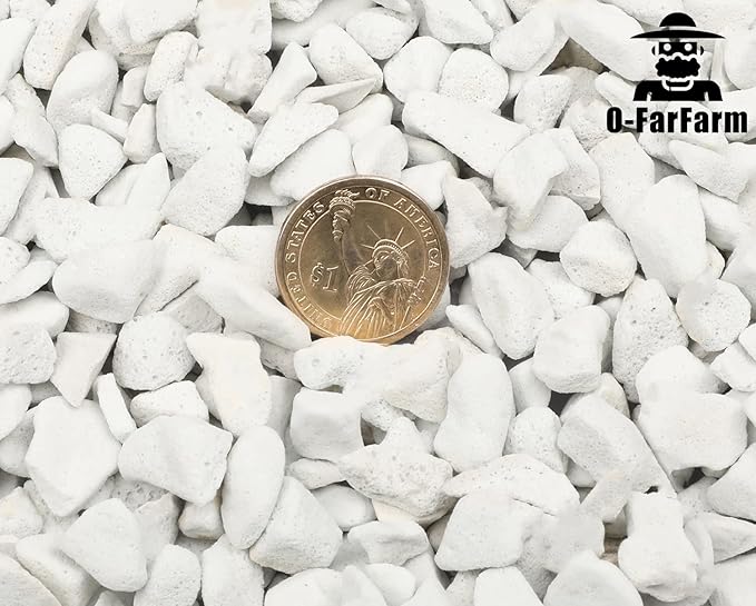 Chunky Perlite Bulk 5Qt, Horticultural Pearlite Coarse Perlite for Plants Indoor, Additive Conditioner Mix, Improve Drainage and Ventilation, Help Root Growth (5-10mm)